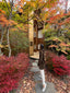 Fall in KARUIZAWA